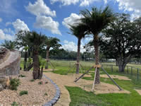 Commercial Landscape Projects by Coastal Landscaping and Design